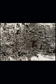 Heinz Scharr Landschaft, 2013, Tusche, Rohrfeder auf Japanpapier, 83,2 x 118,6 cm.jpg
